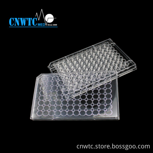 Lab Sterile Cell and Tissue Culture Plates: Your Essential Tool for Controlled Experiments